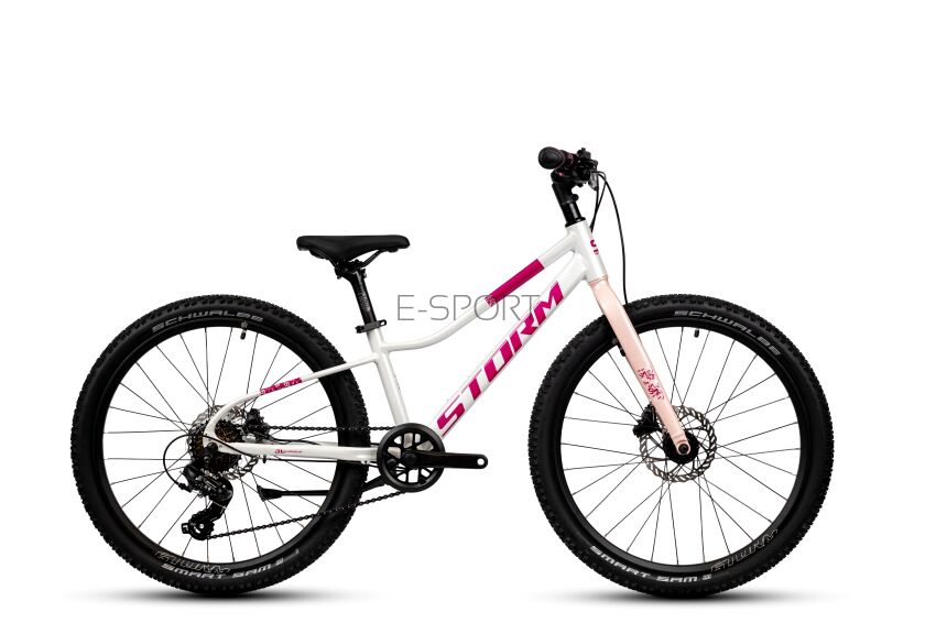 Rower Dziecięcy Storm Bella 24